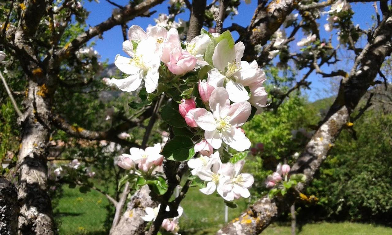 Bnb Castellane Chambre D'Hotes B&B Εξωτερικό φωτογραφία